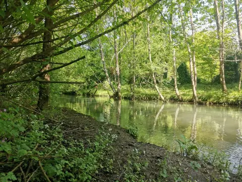 Le petit Saint-Jean
