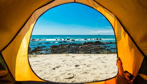 Les Pins Parasols