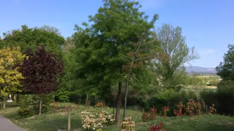 Le moulin de Sainte-Anne