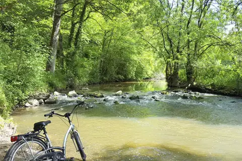 Camping l'Étang des Bois