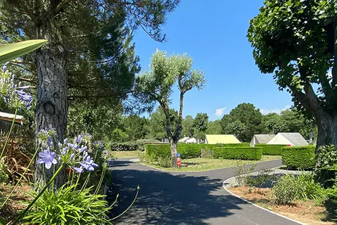 Camping de la Parée du Jonc