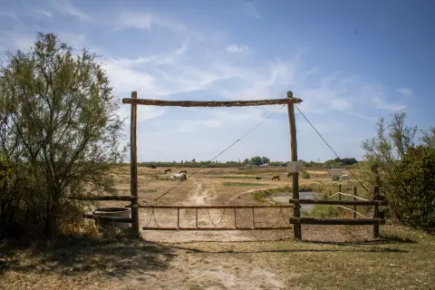Les Embruns d'Oléron