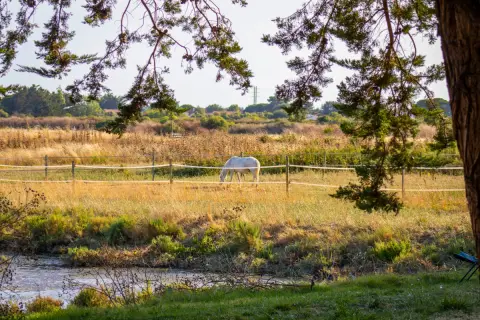 Les Embruns d'Oléron