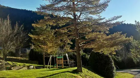 Camping Pineta