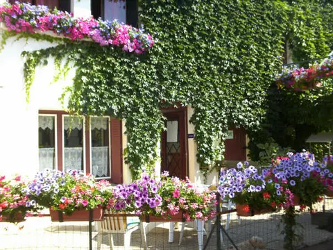 Camping municipal Les Ilots