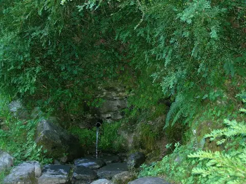 Camping Río Ara