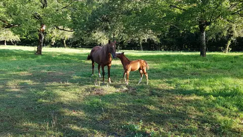 Camping de l'Arbaz