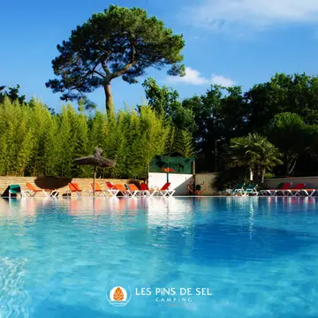 Les Pins de sel
