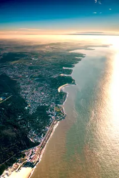 Les Pins de sel