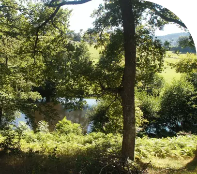 Les Murmures du Lignon