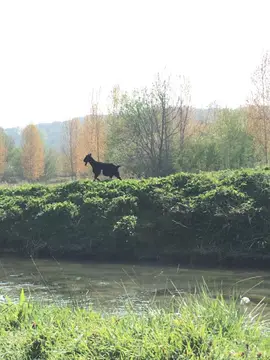 La Source