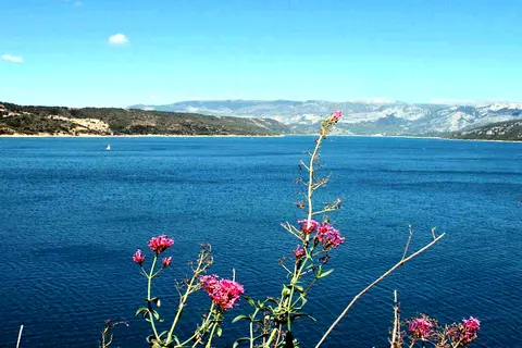 Camping Les Pins