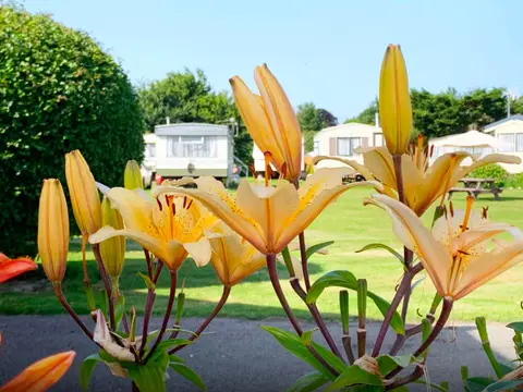 Brookside Caravan Park