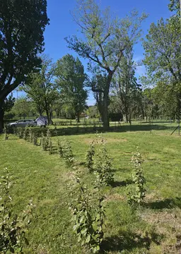 Camping municipal de Charmes-sur-Rhône