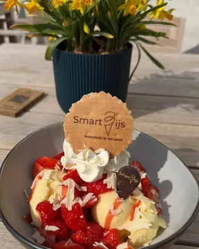 Smart-ijs