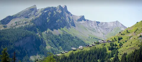 Stellplatz Binii