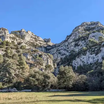 Les Cerisiers