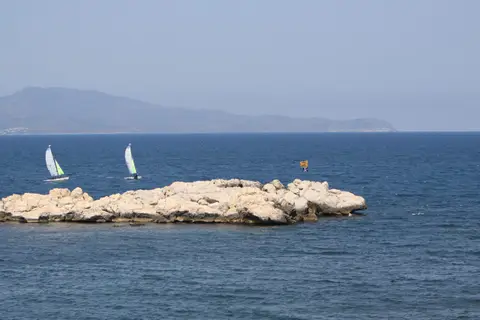 La Ballena Alegre