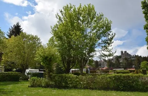 Camping de la Belle Étoile