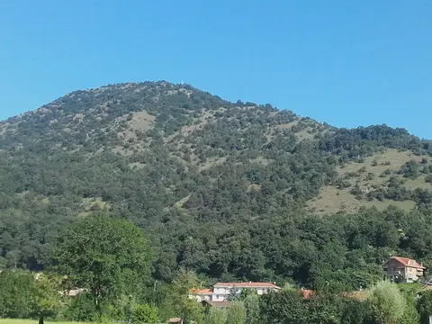 Mill Park Camping