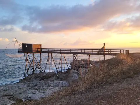 L'albatros