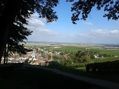 Place du Bourg Joli - Avize