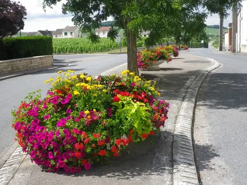 Place du Bourg Joli - Avize