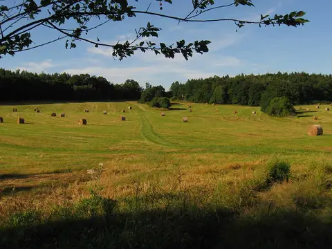 Campingplatz Am Waldbad