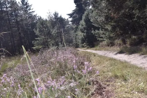 Camping Buitenlust