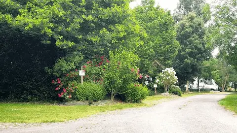 Coin de Ciel