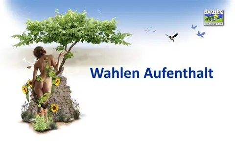 Le Vallon des Oiseaux