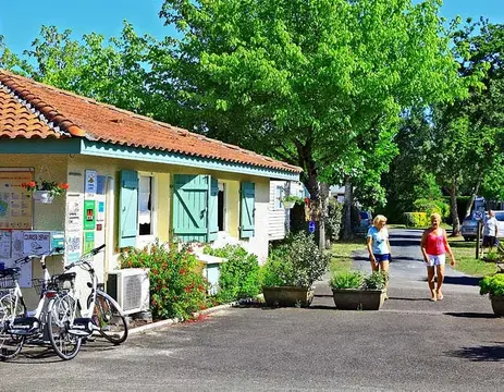 Les Acacias