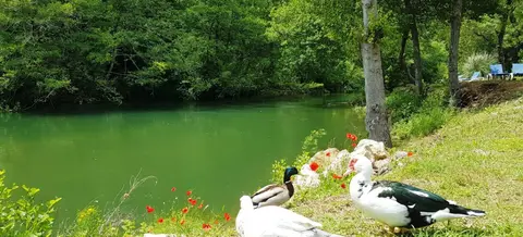 Le Parc des Monges