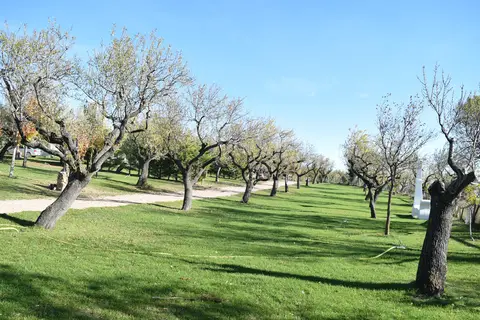 Camping Castillo de Loarre