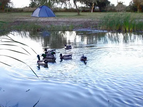 Camping du Clos-Peyron
