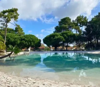 Les pins d'Oléron