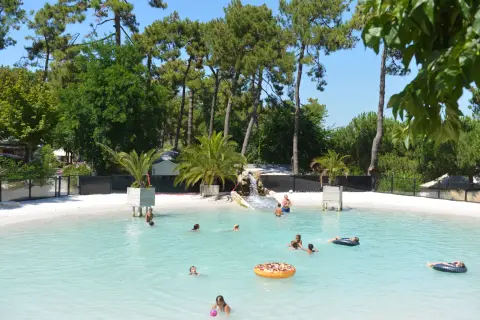 Les pins d'Oléron