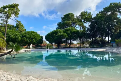 Les pins d'Oléron