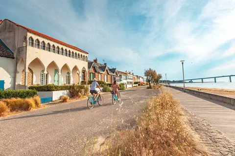 Domaine des Pins