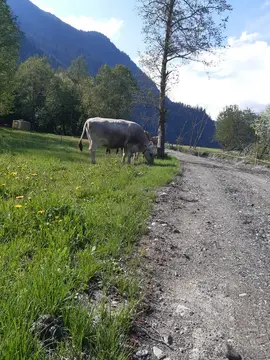 Naturzeltplatz Rona