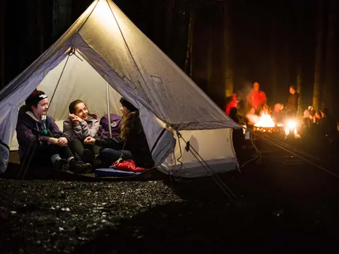 Bushy Wood Activity Centre