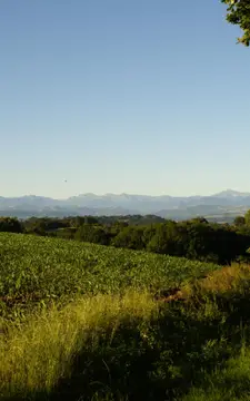 Aire de stationnement de Navarrenx