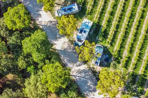 Domaine Saint-Firmin