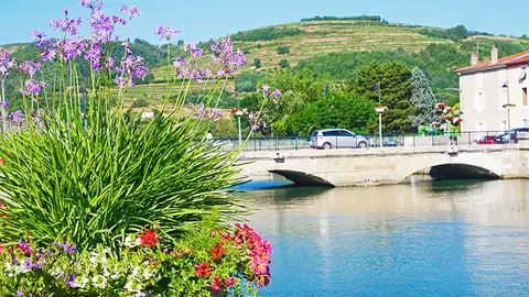 Camping municipal Les Iles de Silon