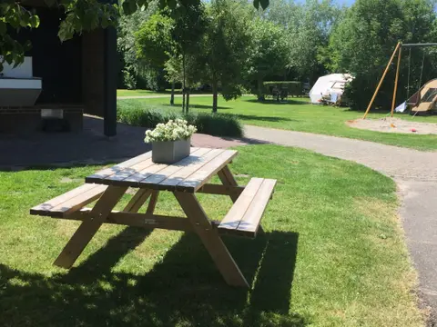 De Knokkert