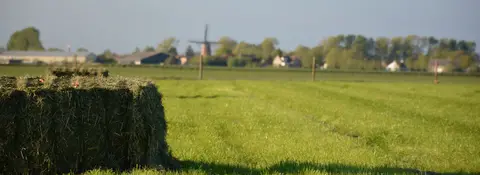 De Essenhoeve