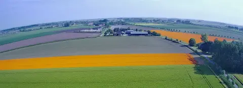 Minicamping Luteijn
