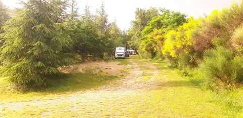 Camping Le Pré des Arbres