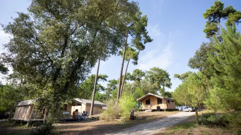 Oléron Les Chênes Verts