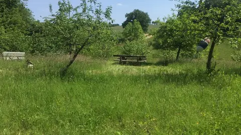 Trekkingplatz Ahrensbök